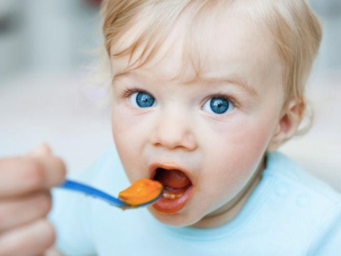 Baby Led Weaning or Puree?